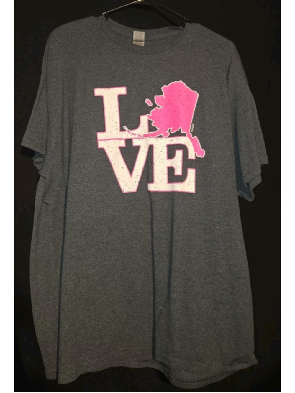 Gildan Men's Gray LOVE Alaska Graphic Print Crew Neck Short Sleeve Tee L/XL